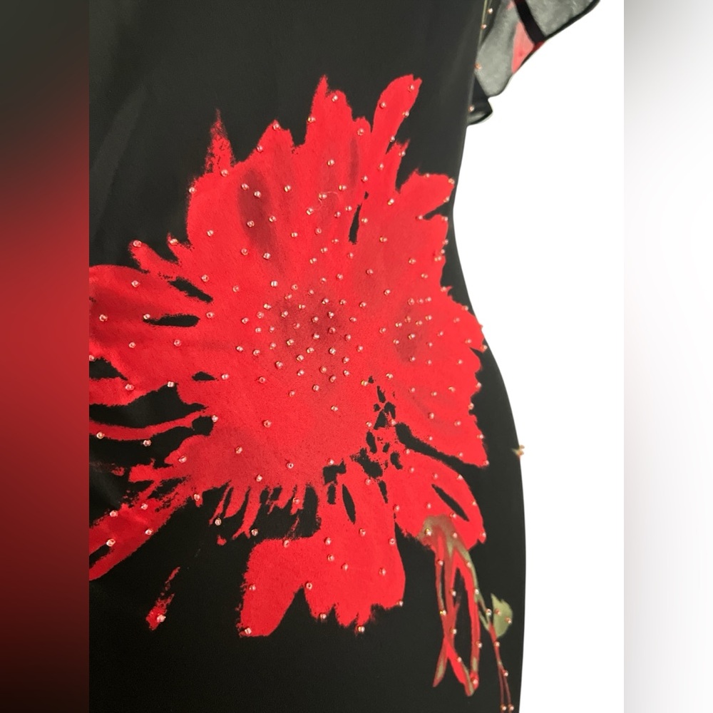 NWT!!! Y2K Sz 0 XS Cache Maxi Slip Dress Black Red Floral Beaded Fairy Ruffles - Picture 4 of 15